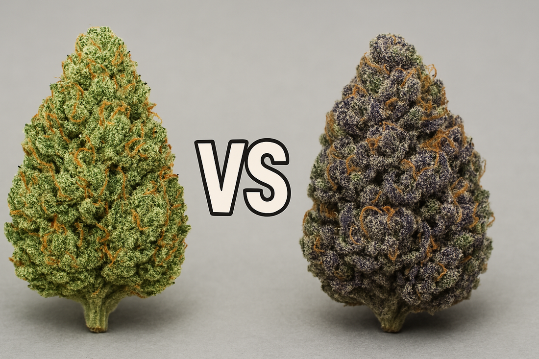 What Strain Is Gelato 41? Indica or Sativa?