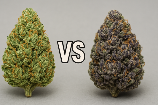 What Strain Is Gelato 41? Indica or Sativa?