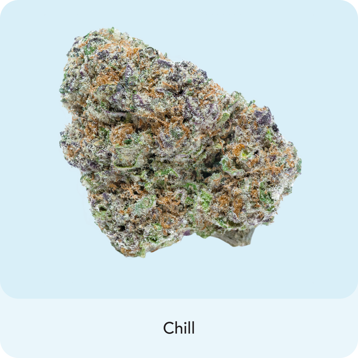 ๐ Applescotti (100% off)