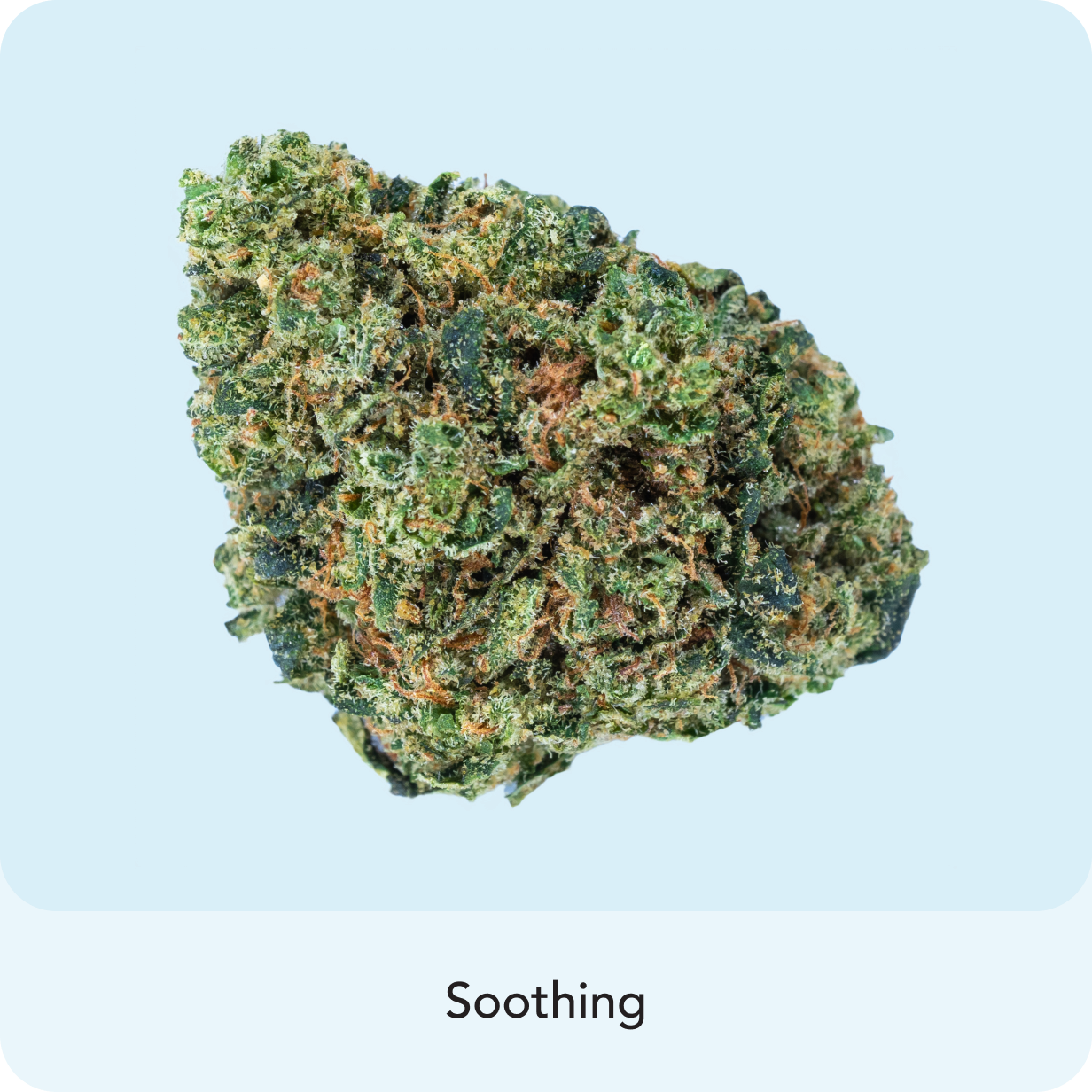 ๐ Cry Baby (100% off)