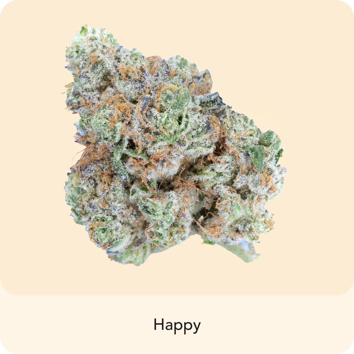 Georgia Pie Hybrid Strain: Sweet Peach Aroma and Potent Effects