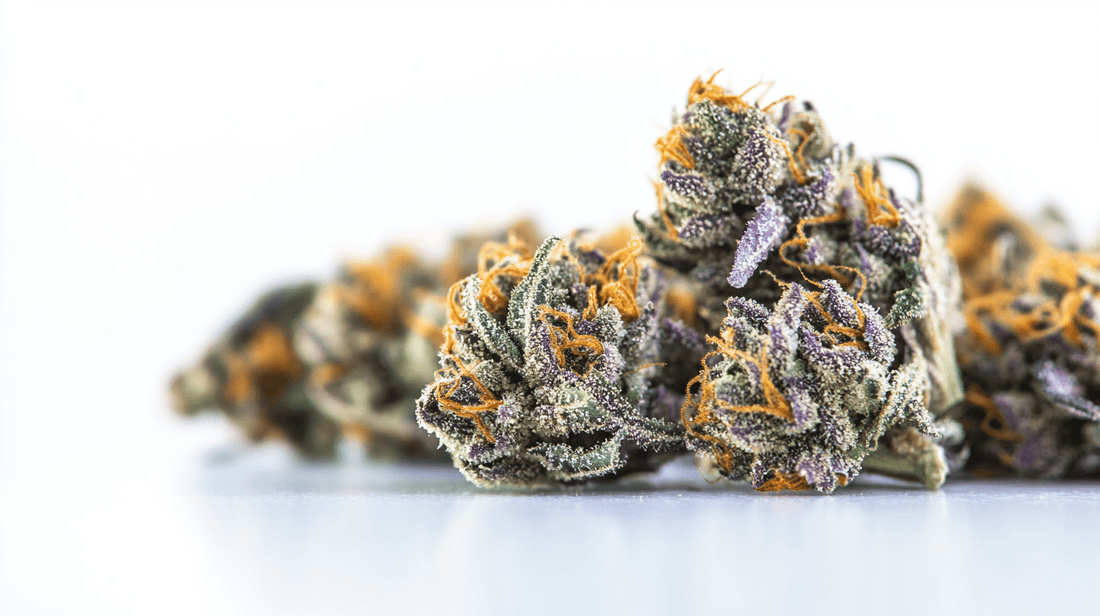 Gush Mints Strain: A Deep Dive into This Flavor-Packed Hybrid