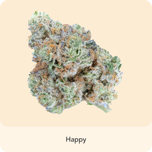 🎁 Georgia Pie (100% off)
