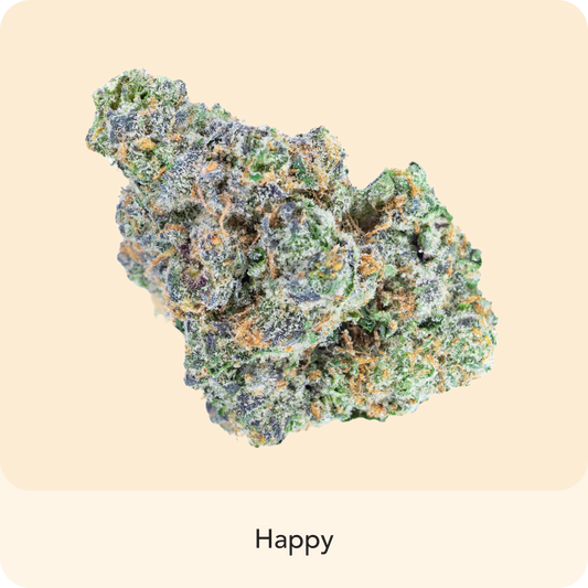 🎁 Zkittle Pie (100% off)
