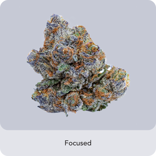 🎁 ZAZA cookies (100% off)